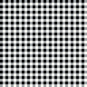 Gingham Weaves | 1/4" Gingham Check - Black | Yarn-Dyed Cotton