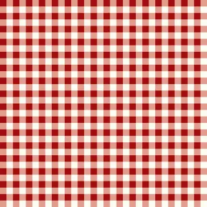 Gingham Weaves | 1/4" Gingham Check - Red | Yarn-Dyed Cotton