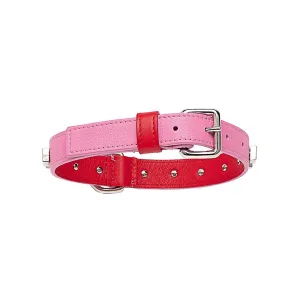 Glam Bi-Color Dog Collar