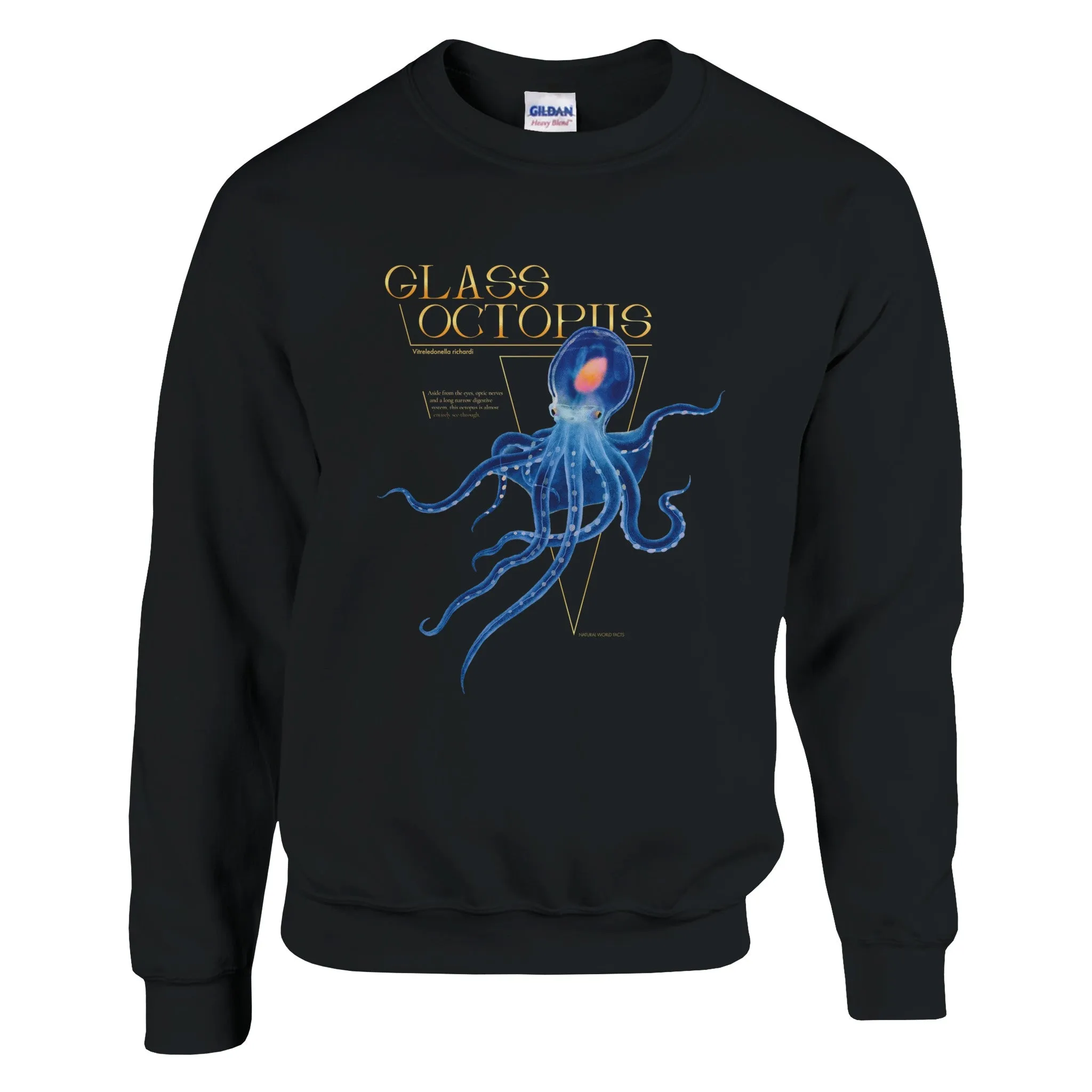 Glass Octopus Sweatshirt