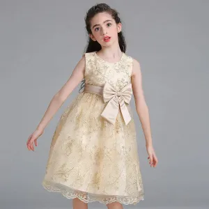 Gold Embroidery Floral Patterns Dress For Girls