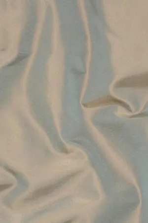 Golden Silver Taffeta Silk Fabric