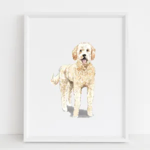 Goldendoodle