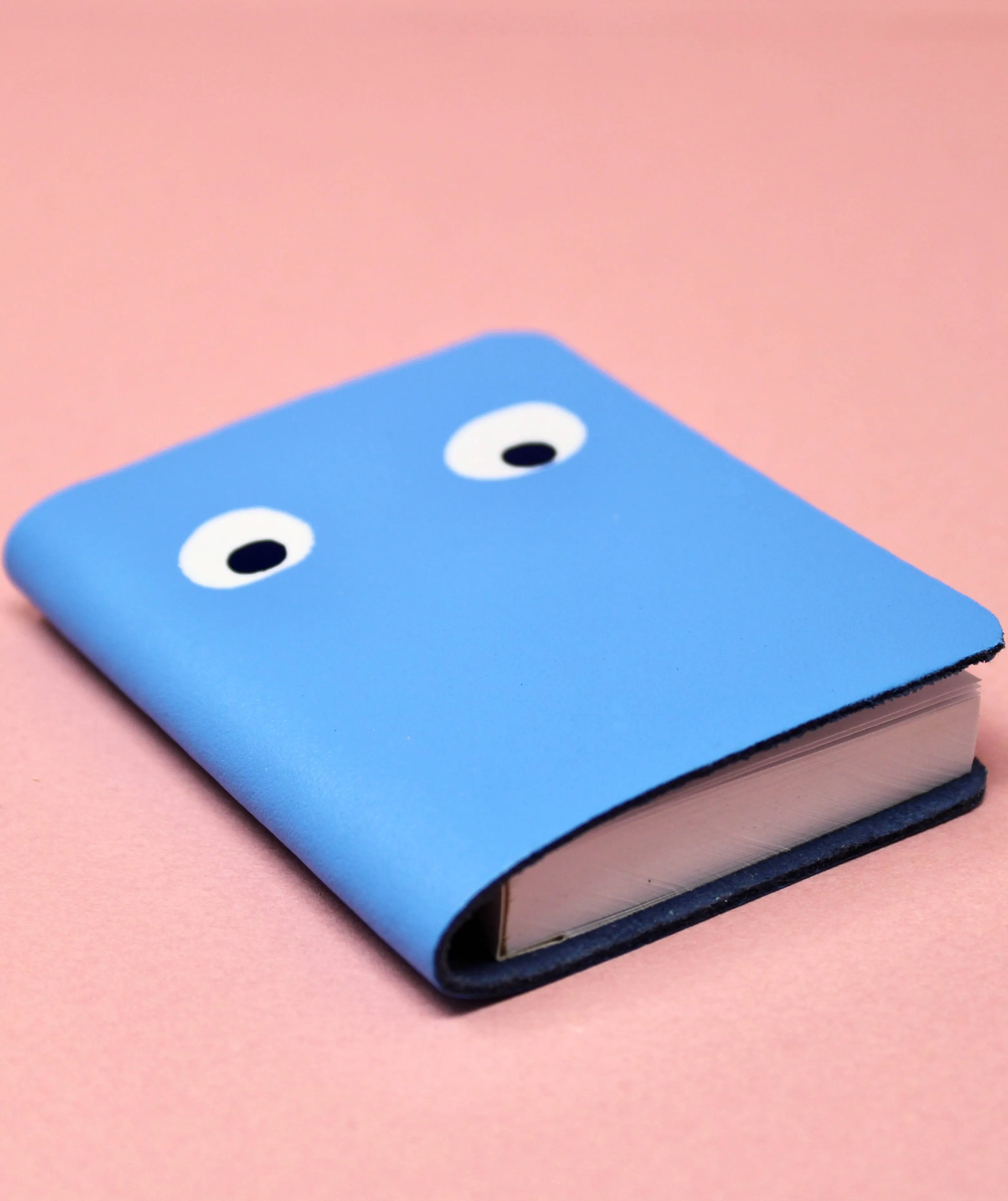 Googly Eye Mini Leather Notebook