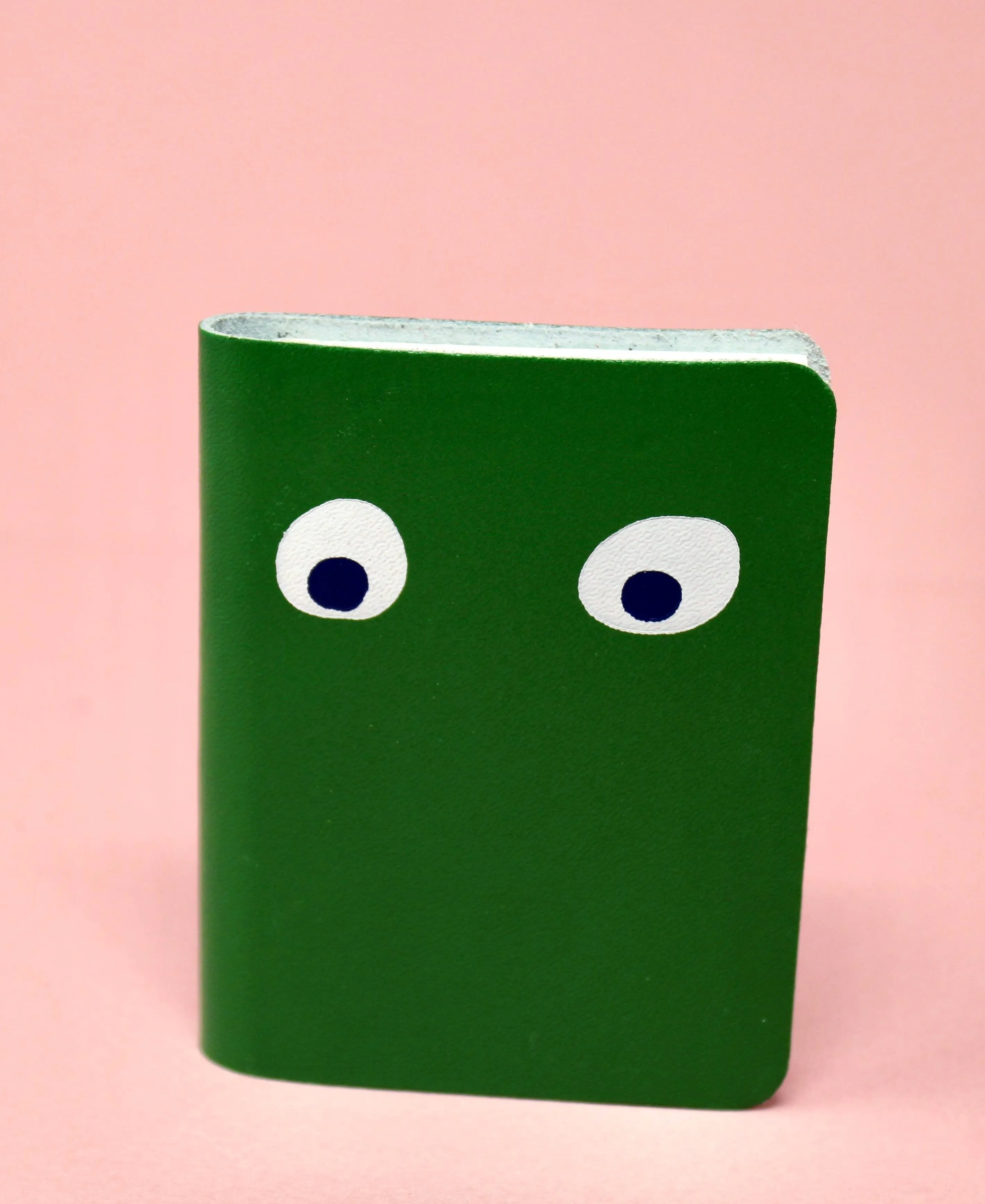 Googly Eye Mini Leather Notebook