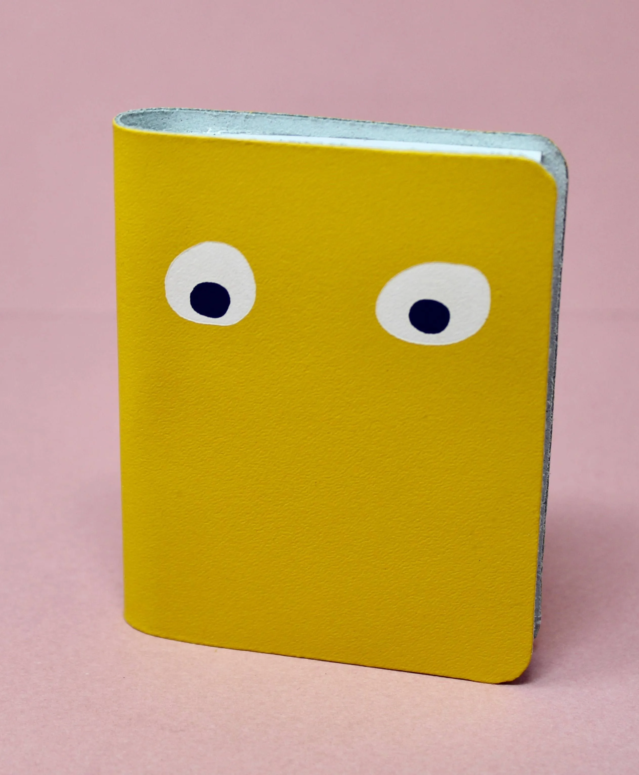 Googly Eye Mini Leather Notebook