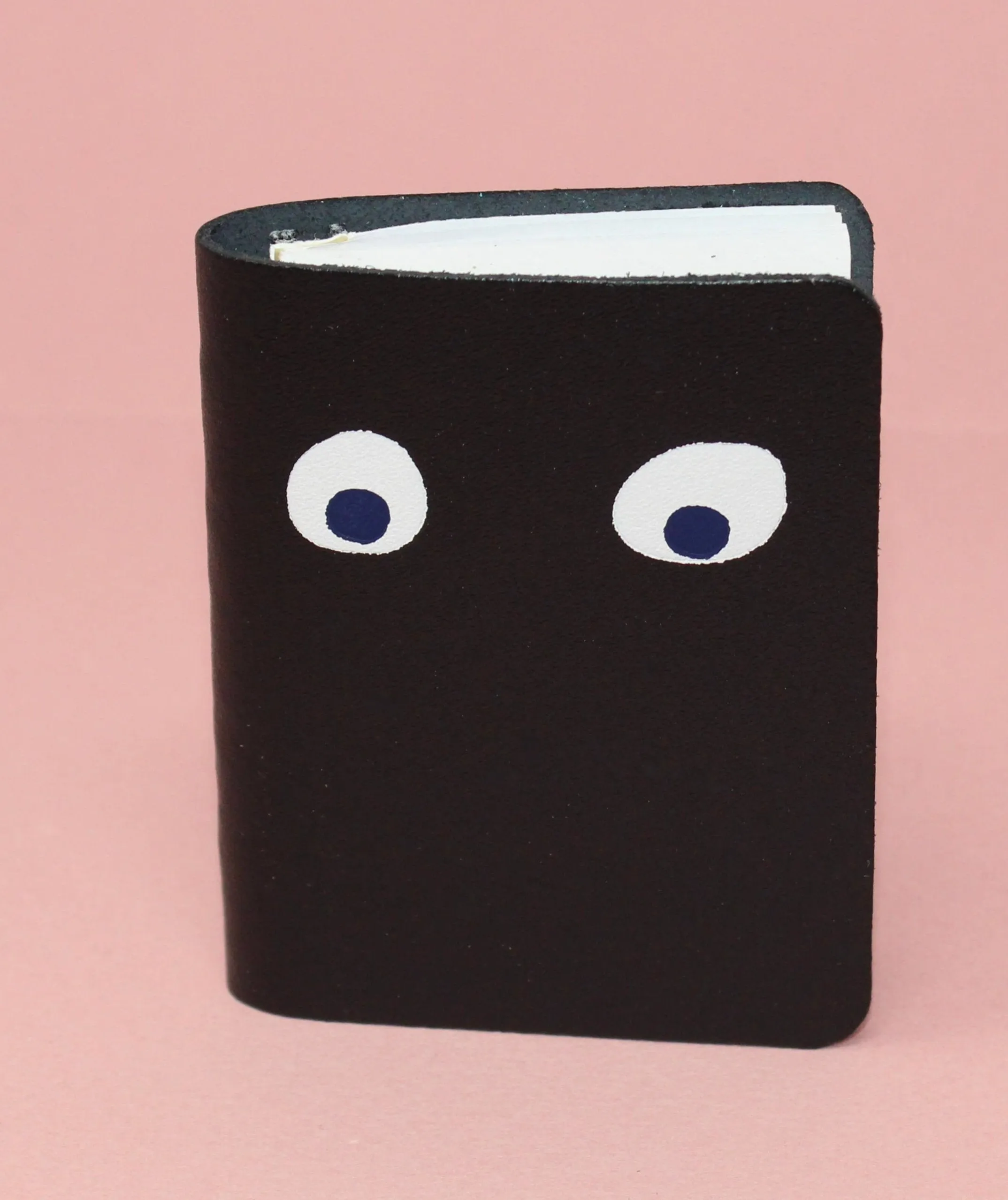 Googly Eye Mini Leather Notebook