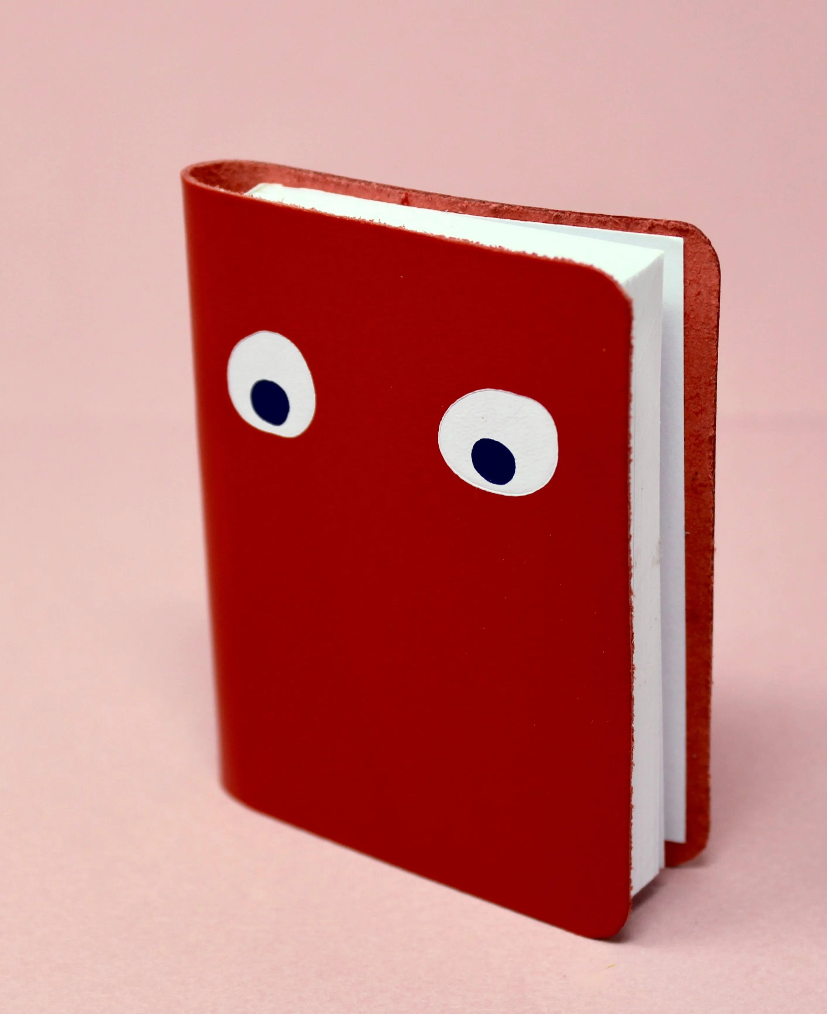 Googly Eye Mini Leather Notebook