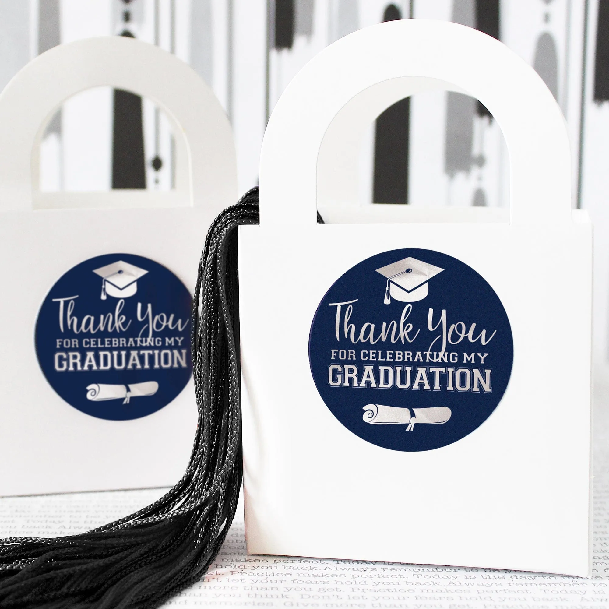 Graduation Party Class of 2024: Thank You Sticker Labels  - 11 School Colors - 40 Stickers