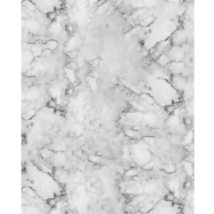 Gray Marble Printed Backdrop