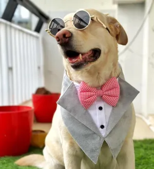 Gray Velvet Tuxedo Vest Bandana