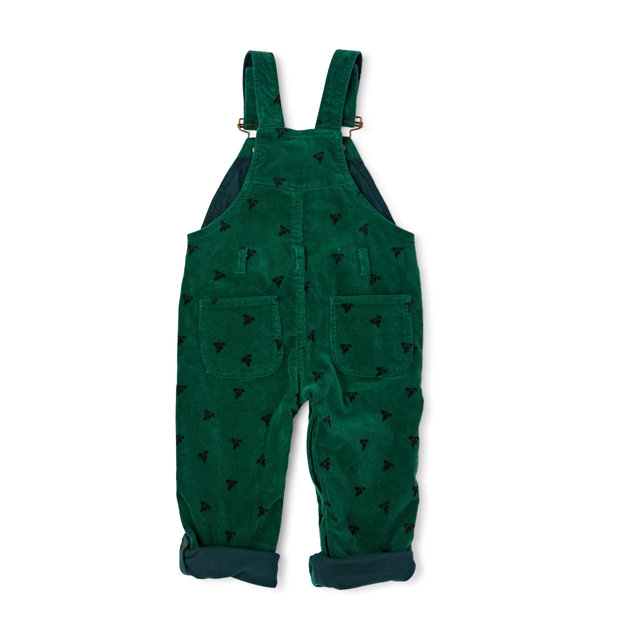 Green Acorn Printed Overalls