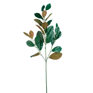 Green & Brown Magnolia Leaf Stem, 35in