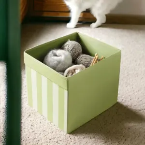 Green & White Stripe Storage Box