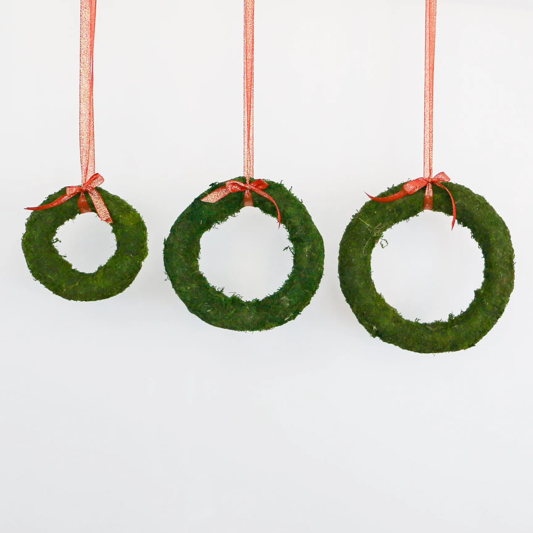 Green Moss Wreath | 10 inch