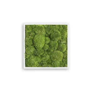 Green Square Moss Art (35cm)