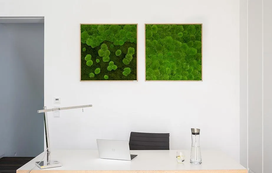 Green Square Moss Art (80cm)