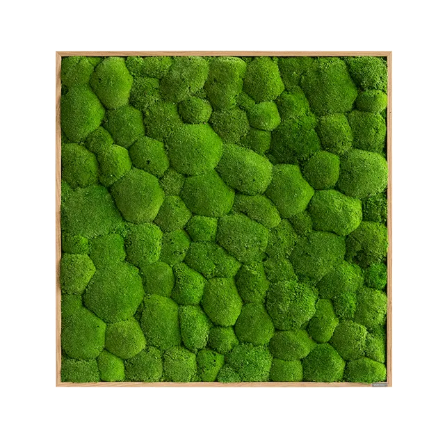 Green Square Moss Art (80cm)