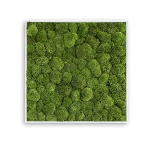 Green Square Moss Art (80cm)