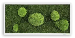 Green Wide Moss Wall Art (57x27 cm)