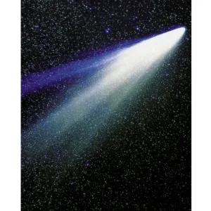 Halleyfts Comet Printed Backdrop