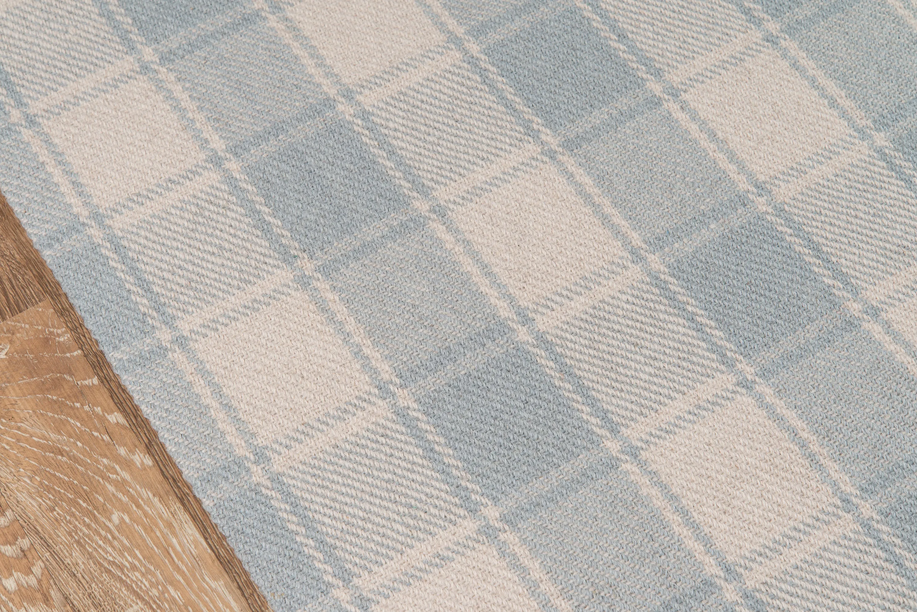 Hand Woven Charles Blue Area Rug