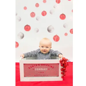 Hanging Red Ornaments Printed Backdrop