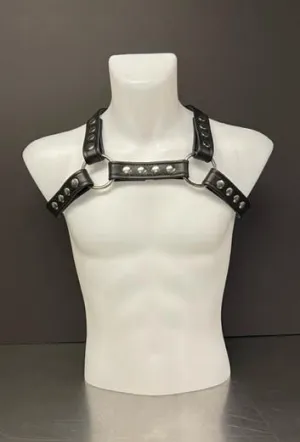 Harness X with Silver Snaps - Small/Medium