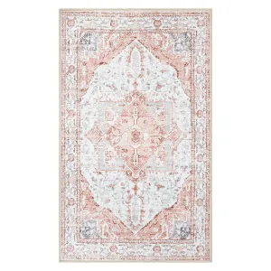 Harriet Traditional Medallion Distressed Pink Area Rug