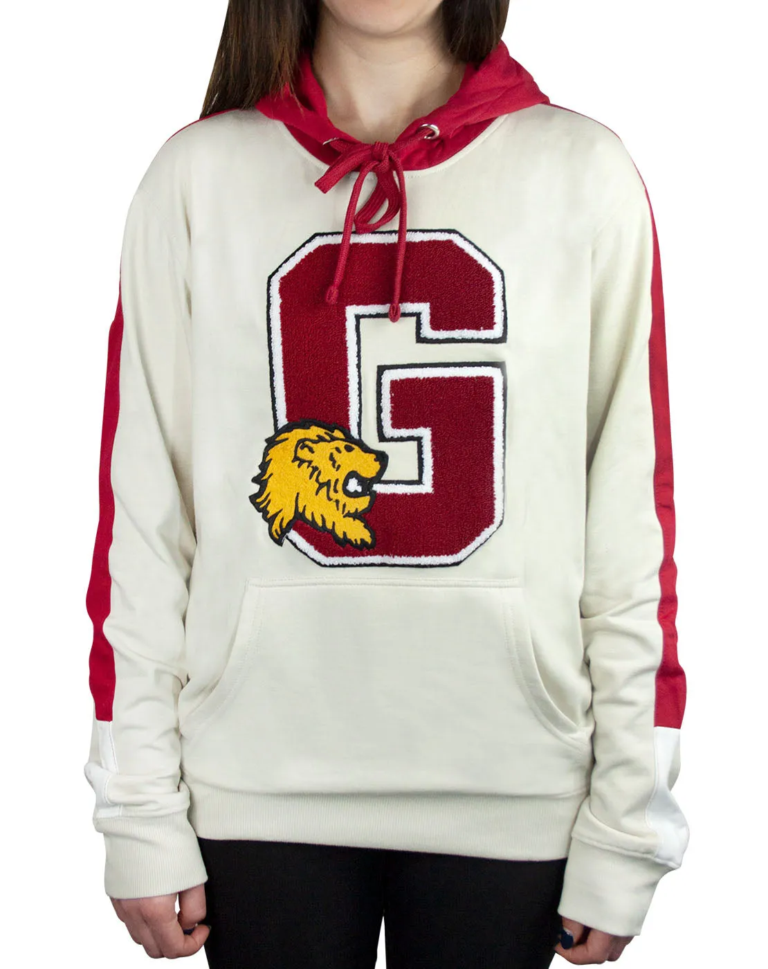 Harry Potter Hogwarts Gryffindor G Patch Logo Premium Hoody/Hoodie