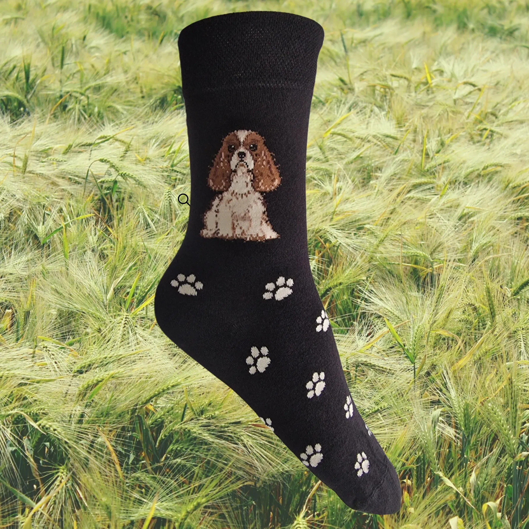 Hazy Blue Womens Dog Socks Bamboo Blend Size 4 to 8