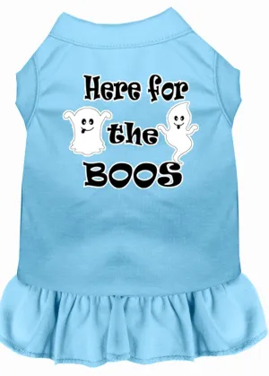 Here For The Boos Screen Print Dog Dress Baby Blue Med (12)