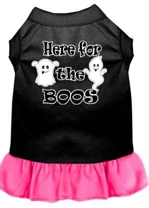 Here For The Boos Screen Print Dog Dress Black With Bright Pink Xl (16)