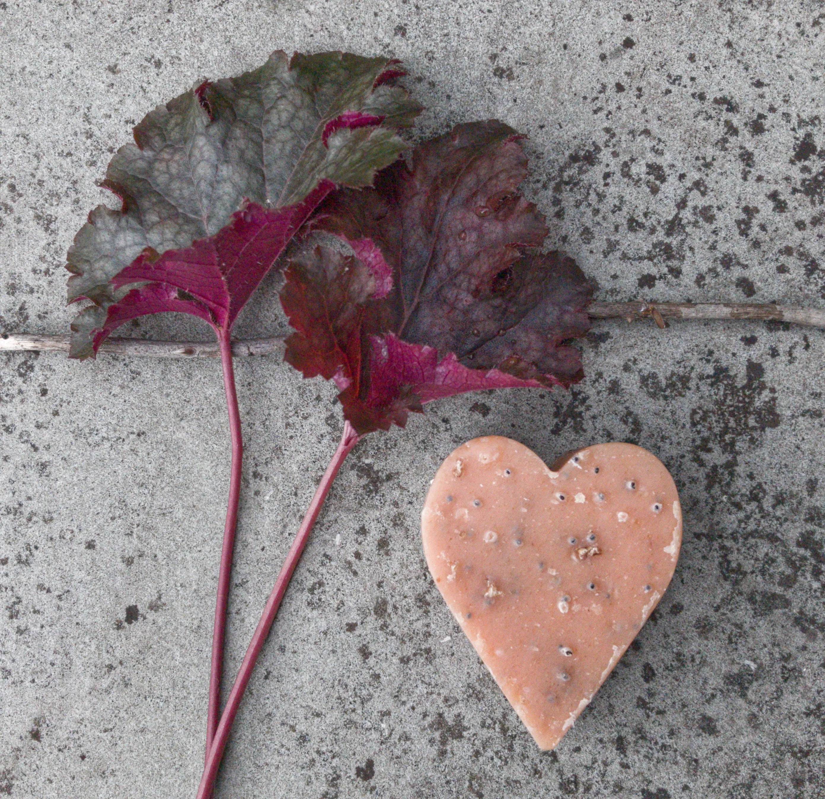 Heyland & Whittle Heart soap