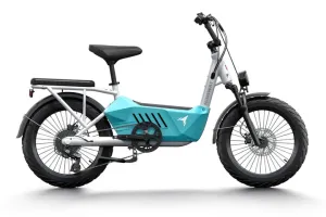 HIMIWAY Cargo Ebike C3