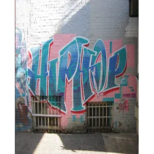 HipHop Scenic Printed Backdrop