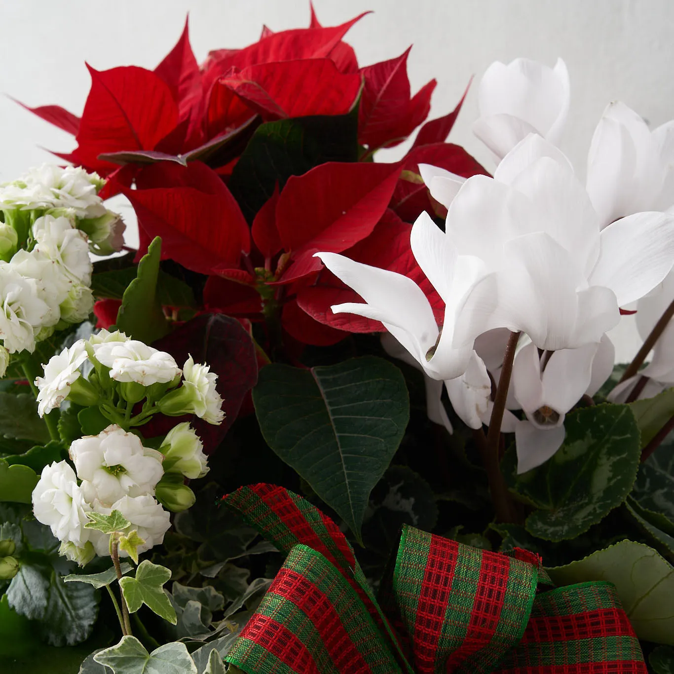 Holiday Planter Box