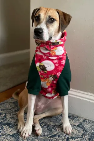 Holiday Snowman Dog Sweater