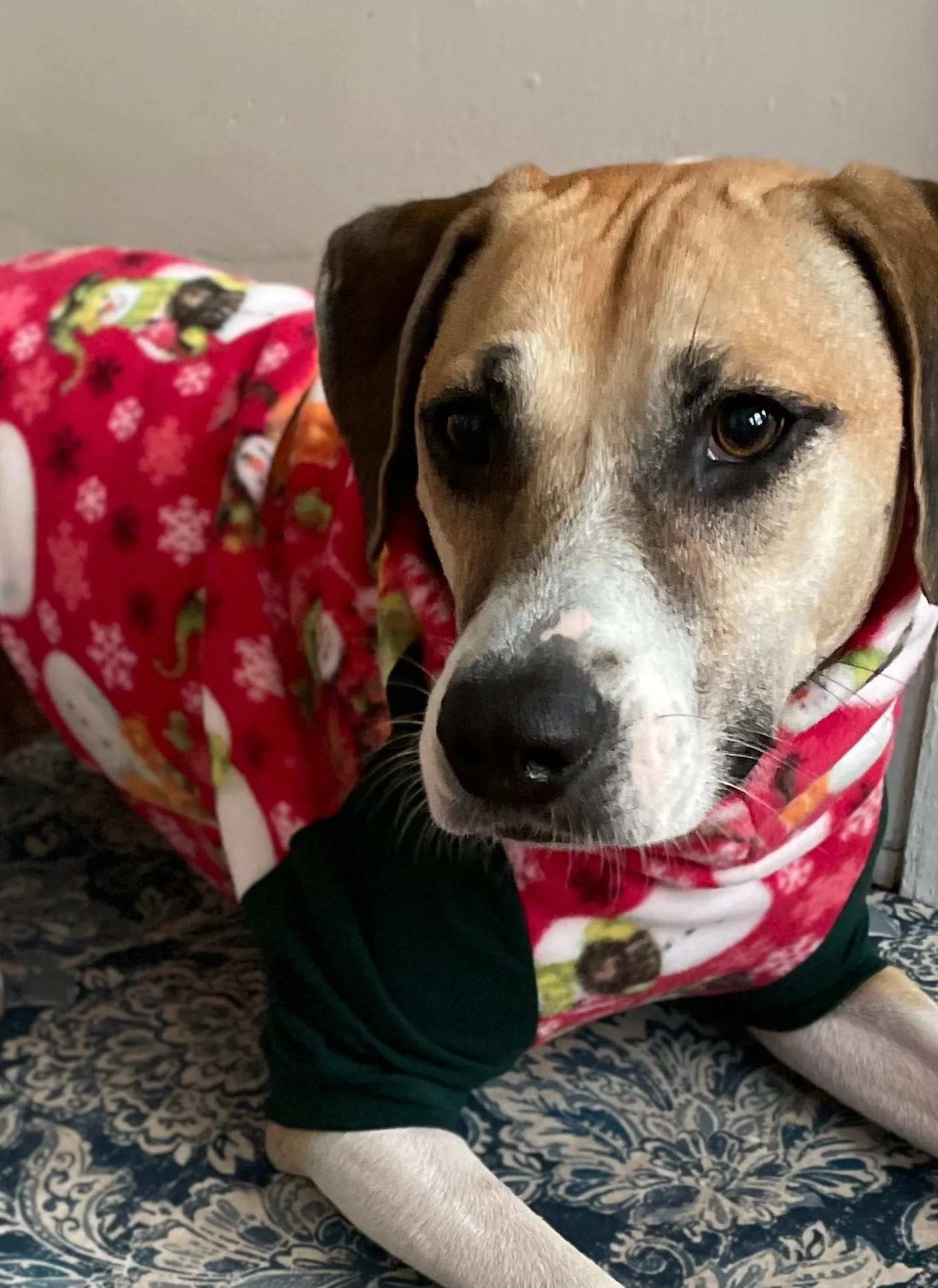 Holiday Snowman Dog Sweater