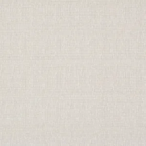 Hollbrook Velvet Carpet, Seashell