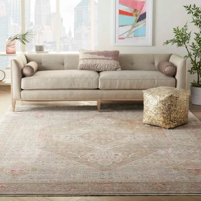 Homestead HMS03 Beige/Grey Rug