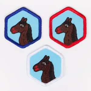 Horsemanship Badge