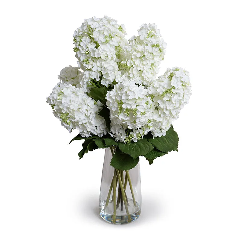 Hydrangea (Snowflake - Pee Gee) in Glass 30"H