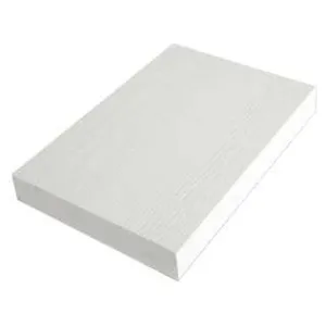 Hydro Panel Board 2440 x 1220 x 16mm White (0.55g/cm3)