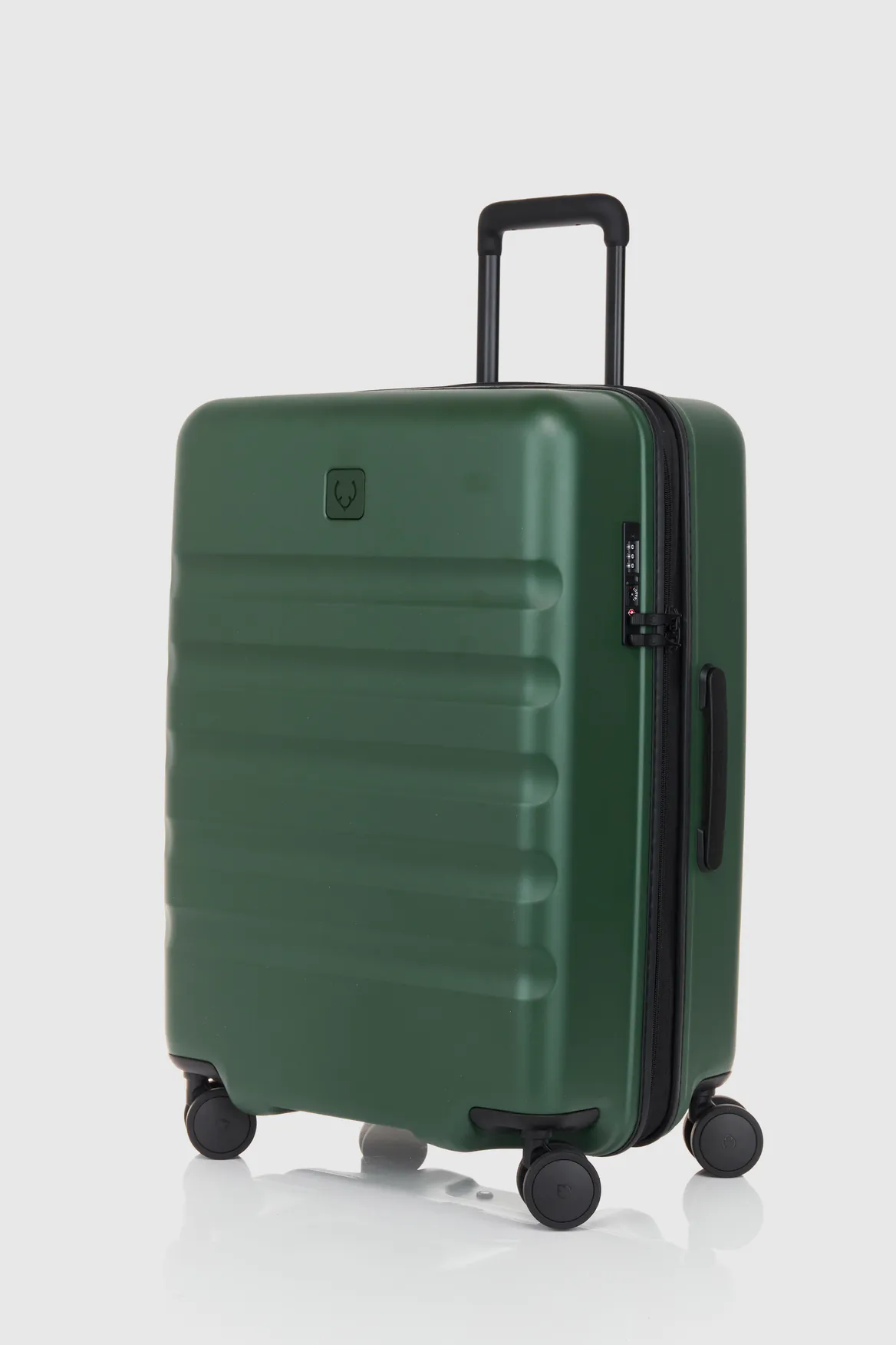 Icon Stripe 66cm Suitcase