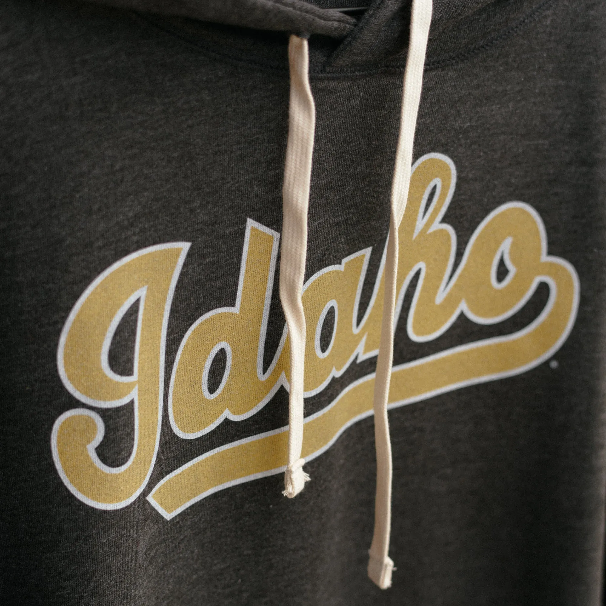 Idaho Vandals Basketball 1982 Script Hoodie