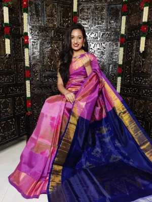 Ikat Saree with Hyderabadi Ikat Patoda - Purple and Blue