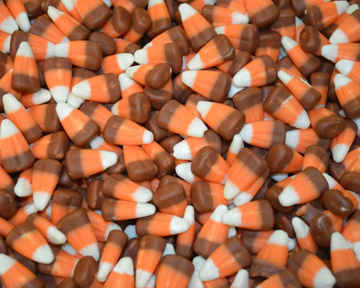 Indian Harvest Candy Corn