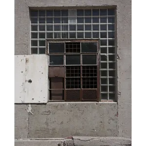 Industrial Window Printed Backdrop