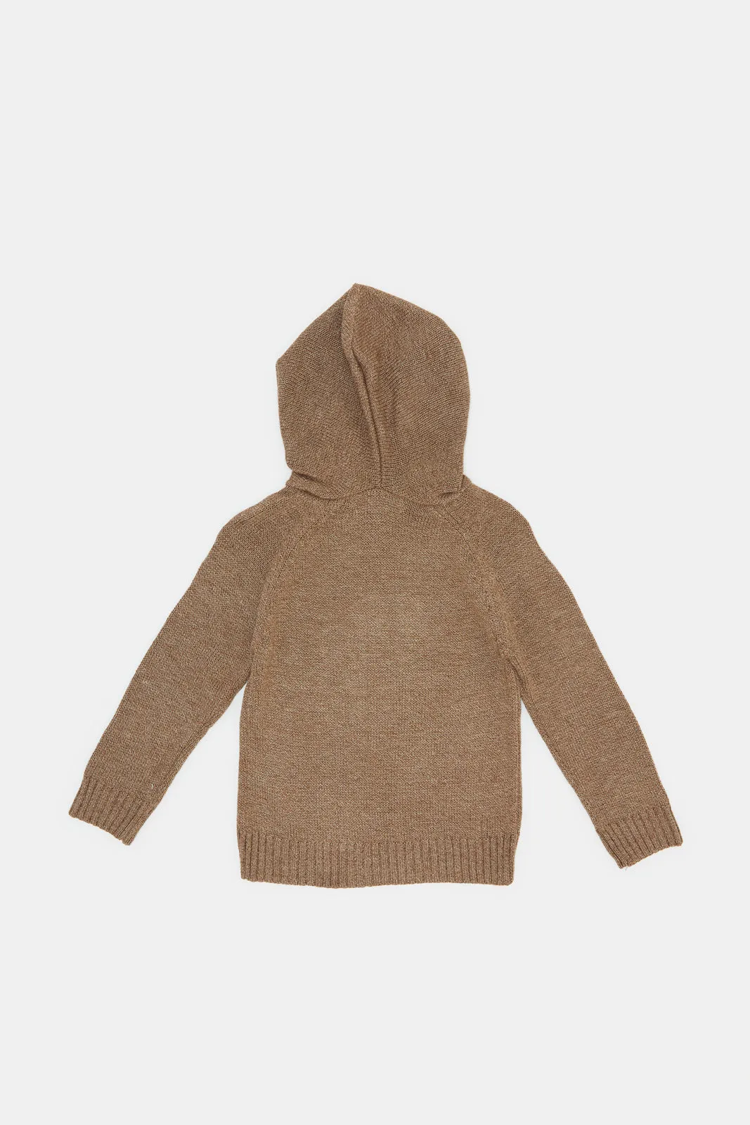 Infant Boys Beige Hooded Pullover